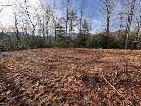 Almond, NC Wooded Lot