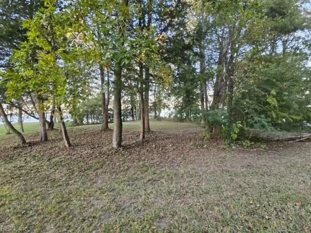 Picture 18
