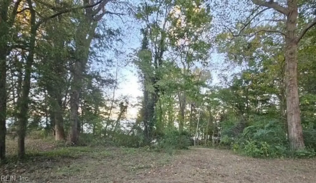 Picture 23