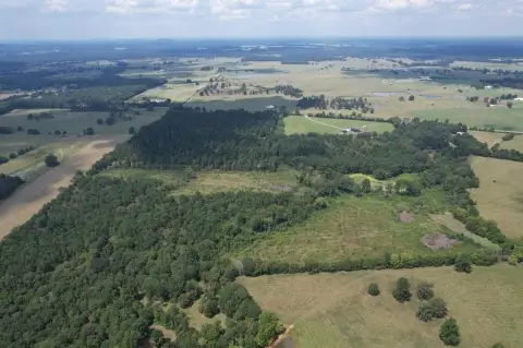 76.79 Acres in Laneville, Texas