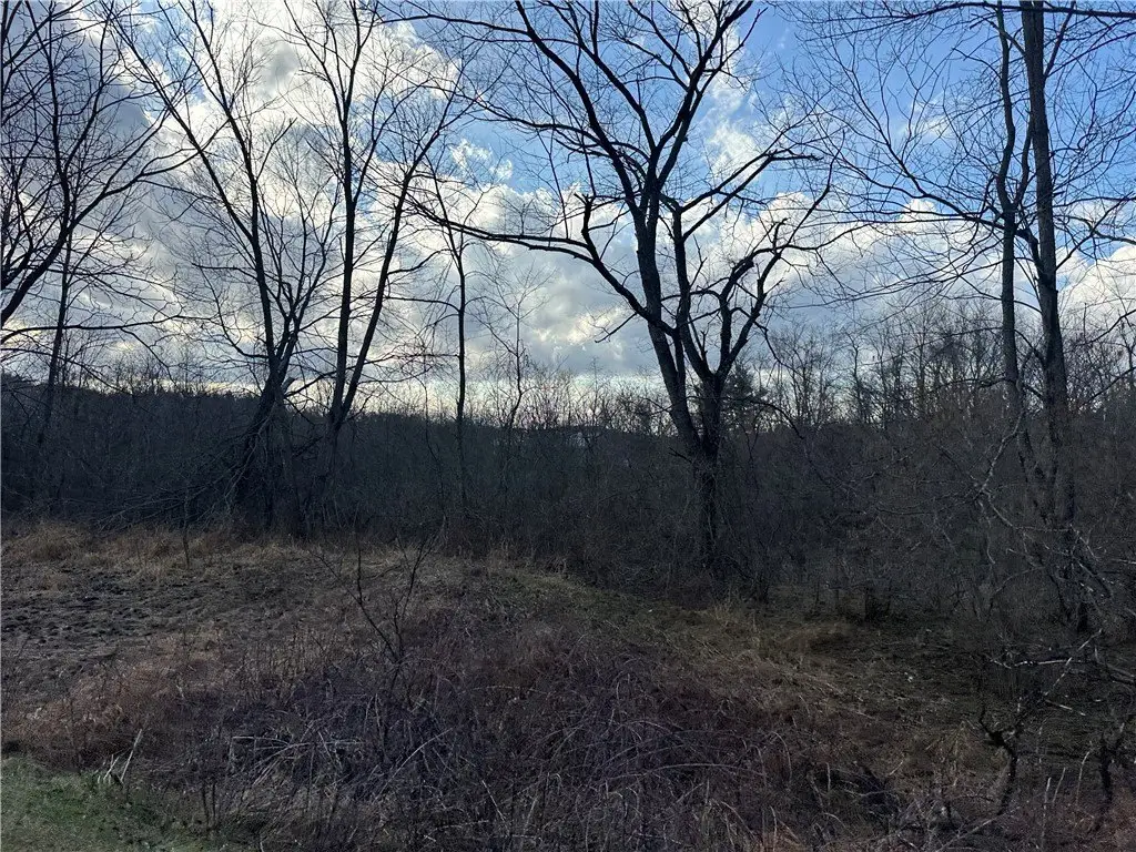 Picture 16