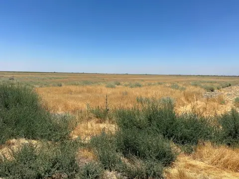 Prime Crop Land Opportunity