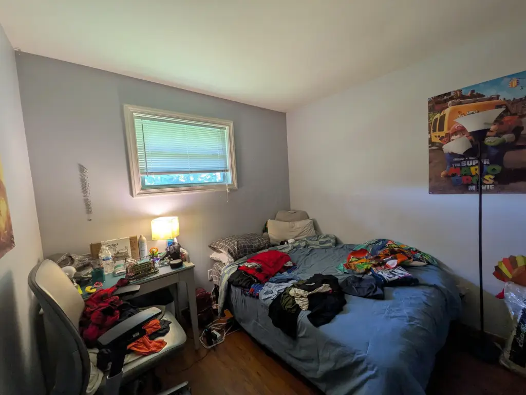 Picture 17