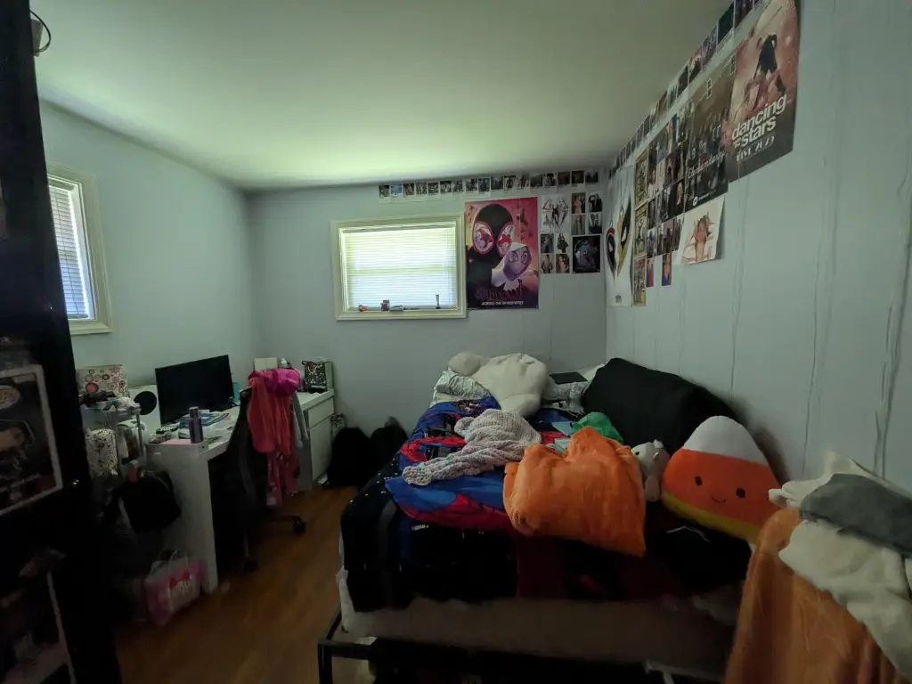 Picture 19