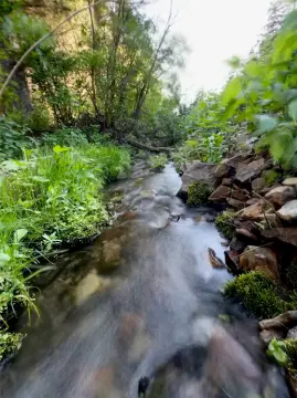 Melrose, MT Mining Claim Land