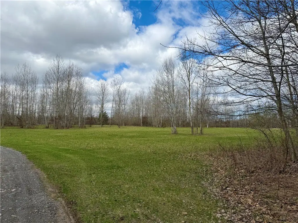 Picture 8