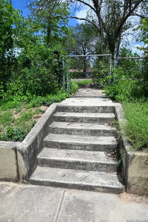 Picture 5