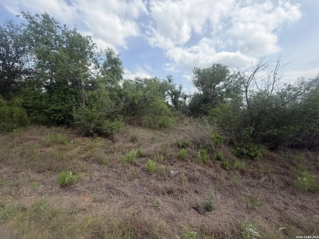 Picture 4