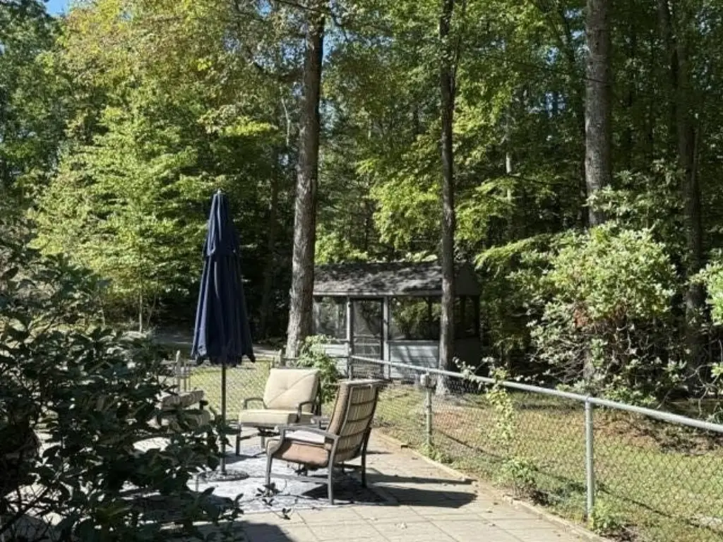 Picture 4
