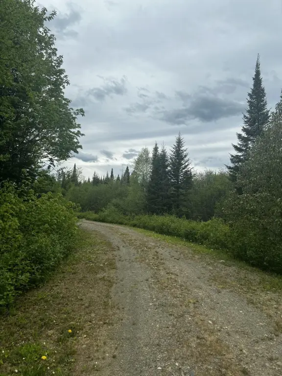 Picture 23