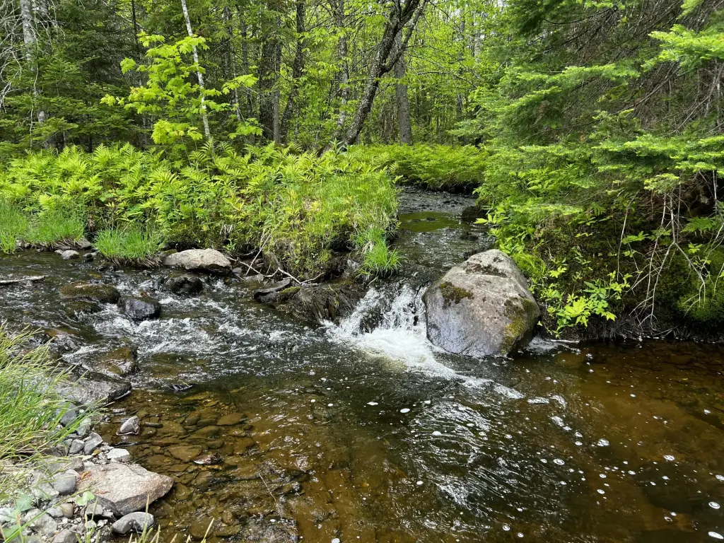 Picture 22