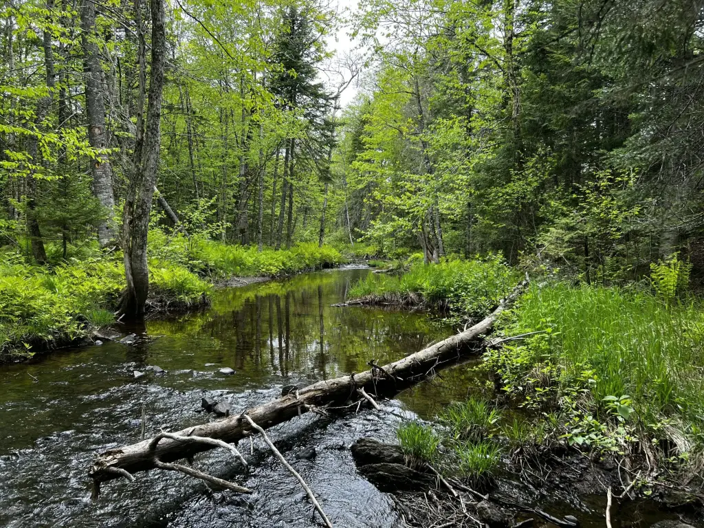 Picture 20