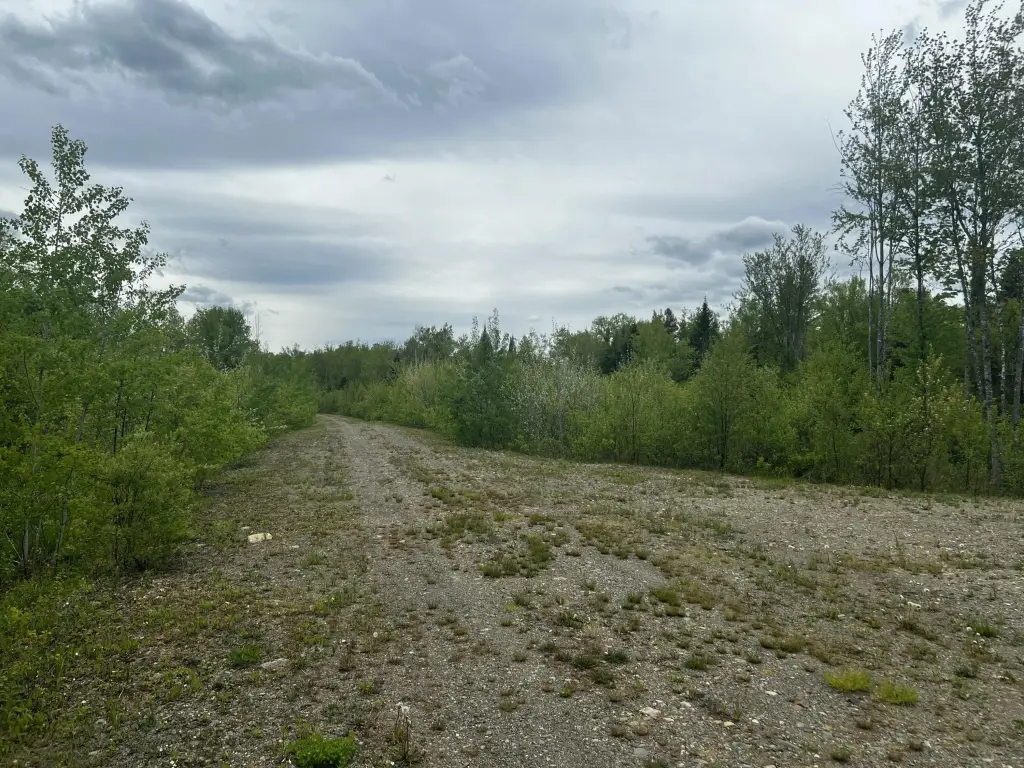 Picture 16