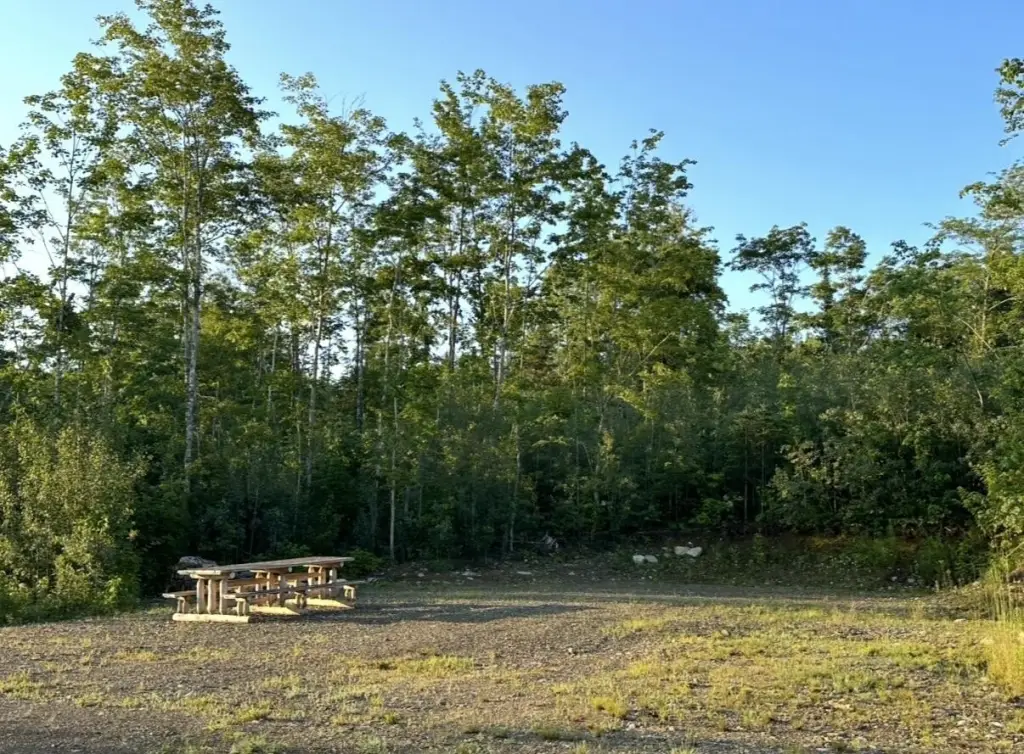 Picture 14