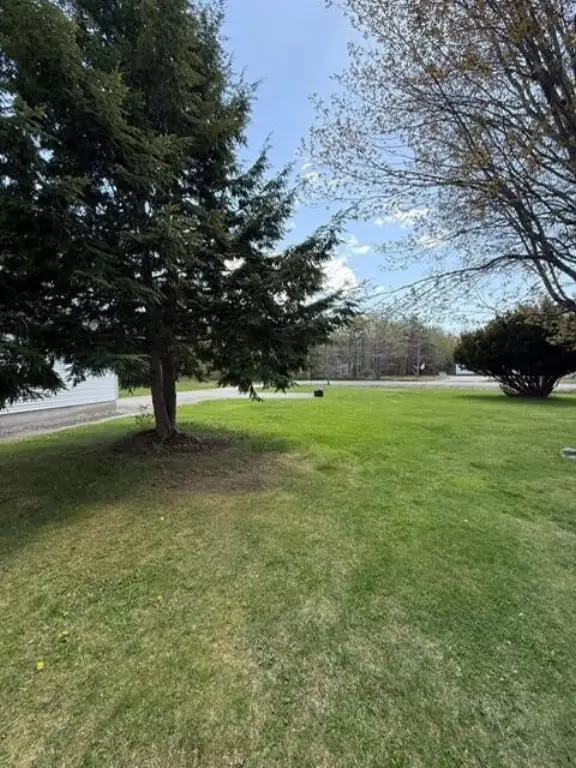 Picture 23