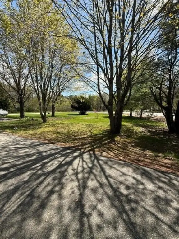Picture 21