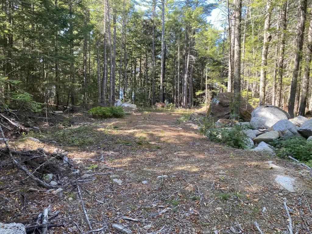 Picture 5