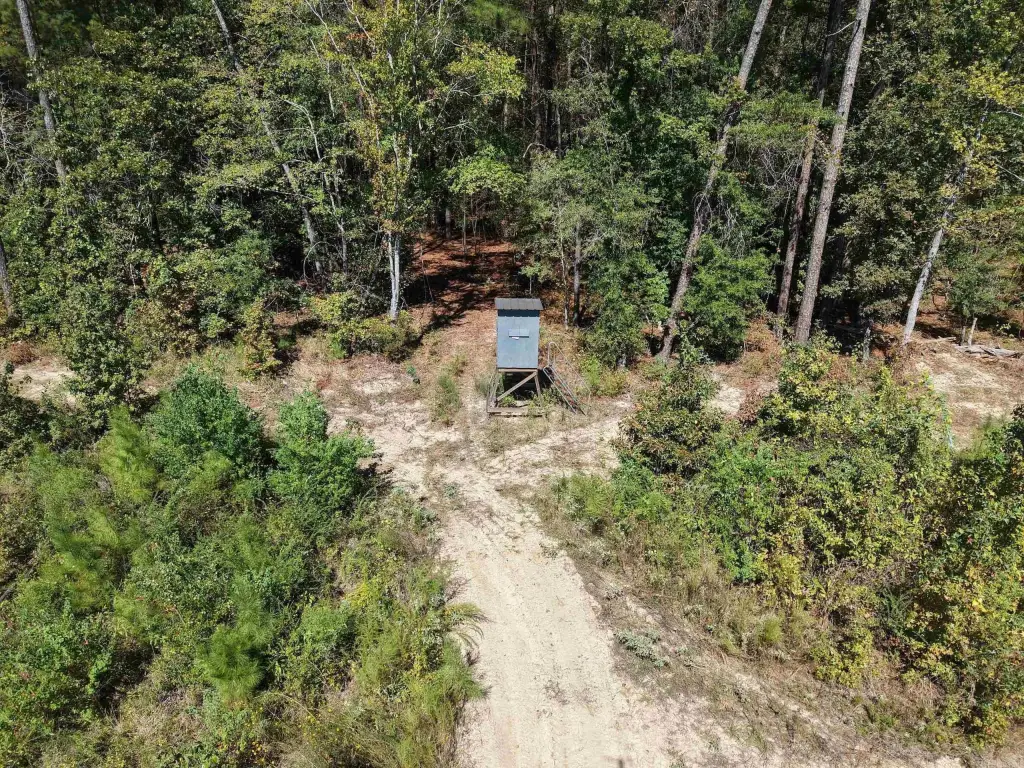 Picture 16