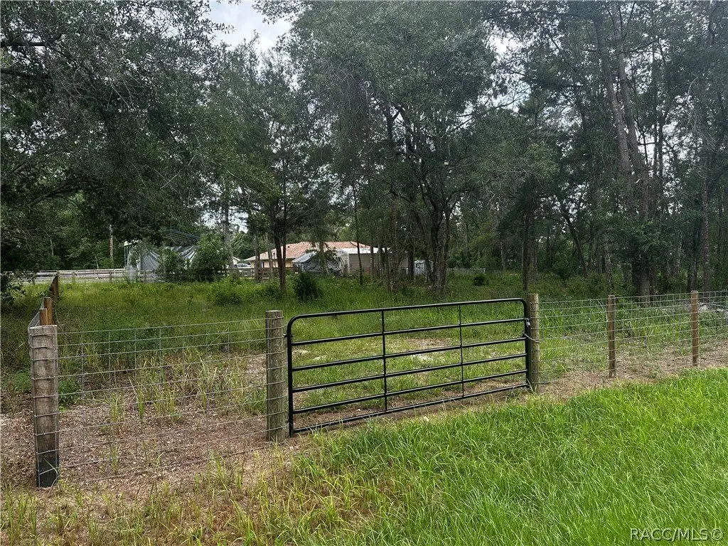 Picture 6