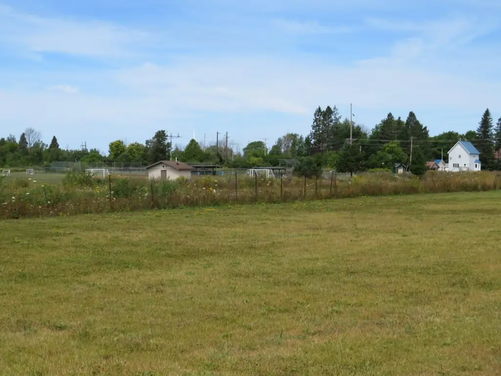 Picture 6