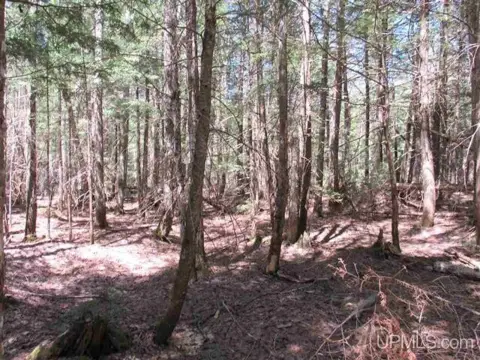 80 Acres Recreational Land For Sale