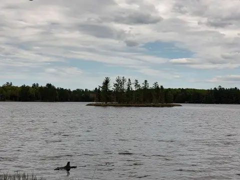 Robinson Lake Vacant Land Parcel