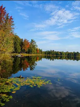 Robinson Lake Vacant Land Parcel