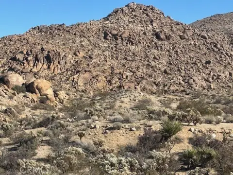 Joshua Tree Land Near Park