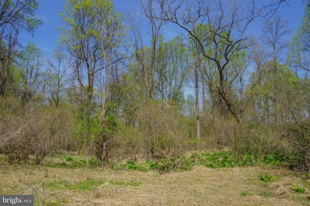 Picture 42