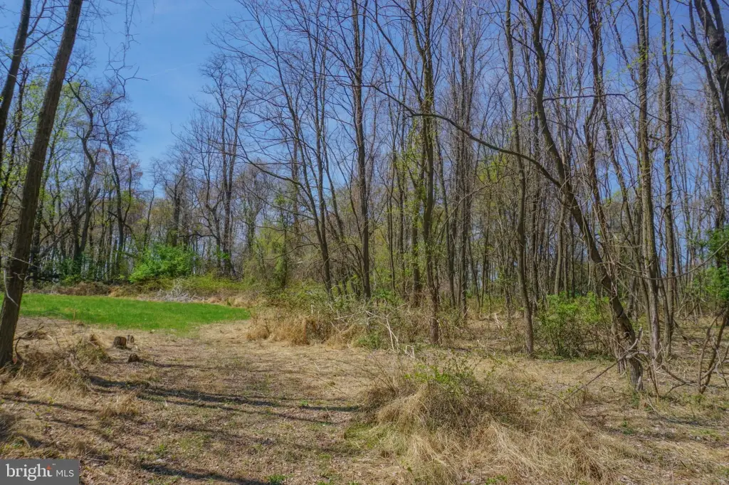 Picture 66