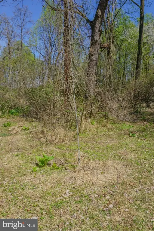 Picture 41