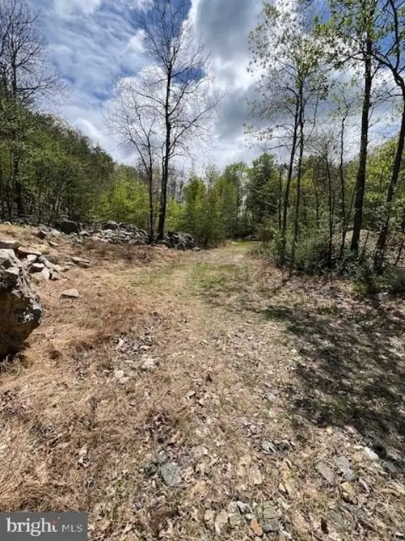 Picture 2