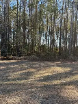 Residential Lot Near Satilla River