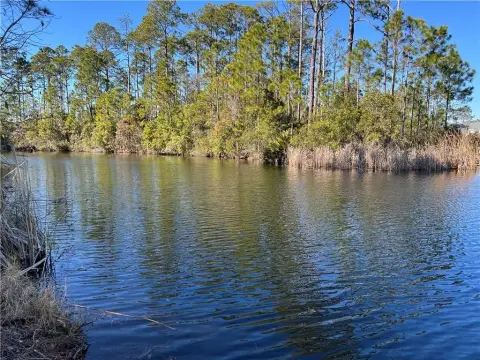 St Simons Island Lakefront Lot