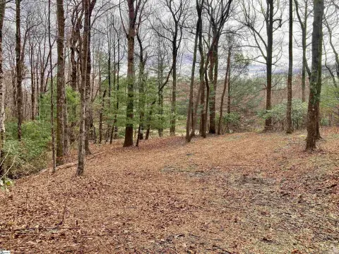 Landrum Residential Lot with Golf Views