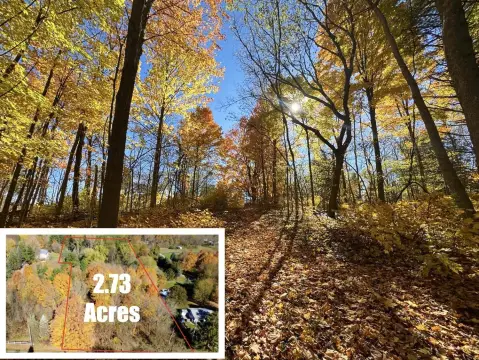 Buildable Lot in Caledonia, MI