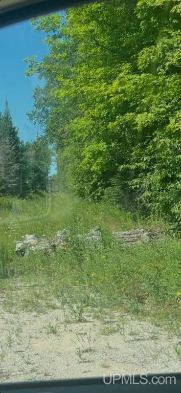 Picture 2