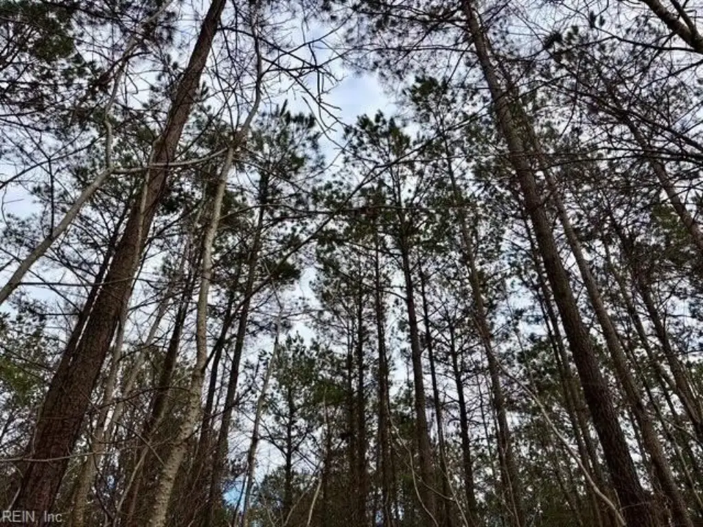 Picture 13