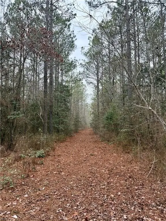 Picture 29