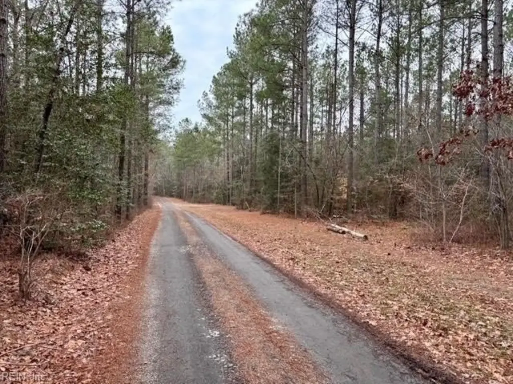 Picture 27