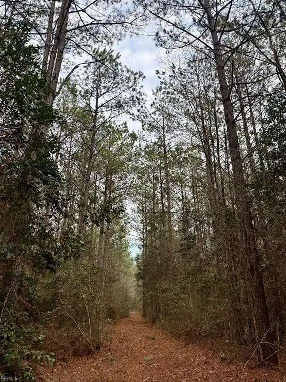 Picture 24