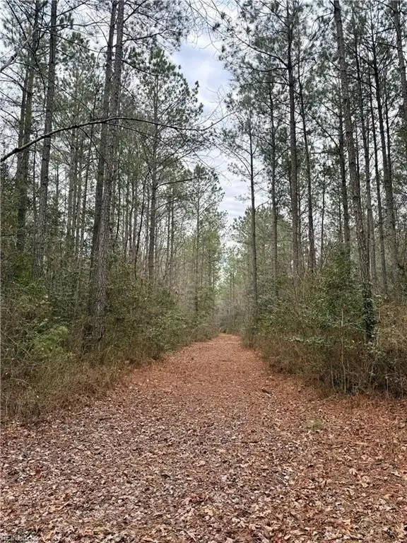 Picture 23