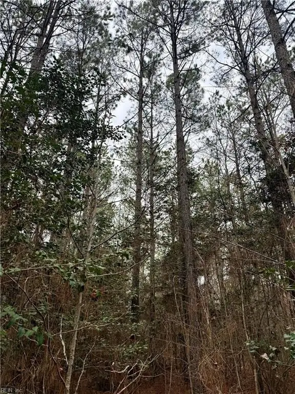 Picture 25