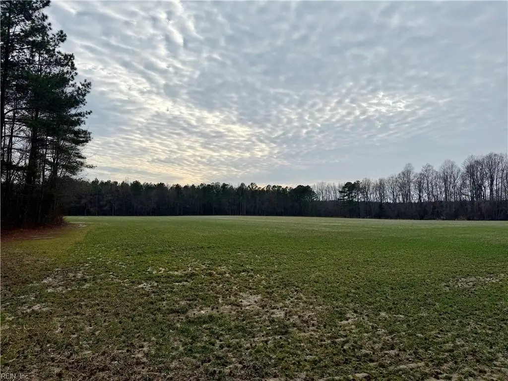Picture 3