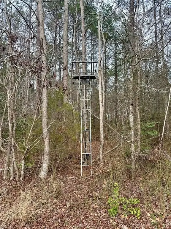 Picture 12