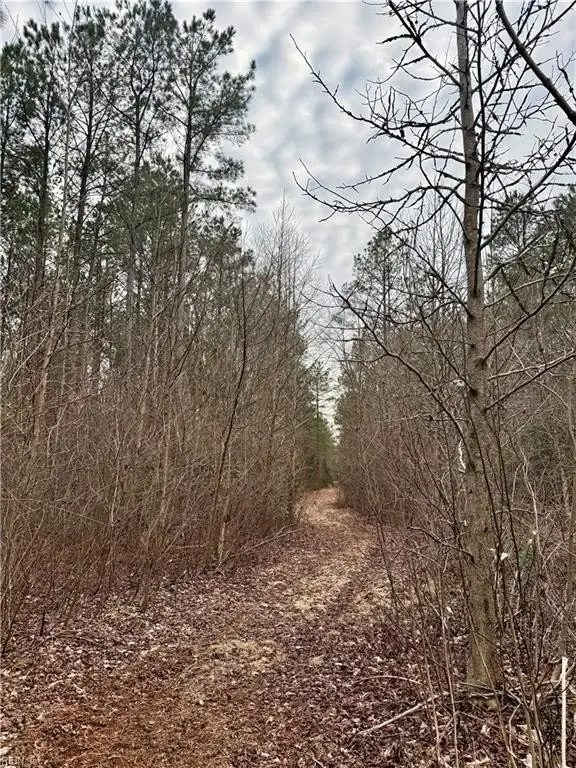 Picture 21