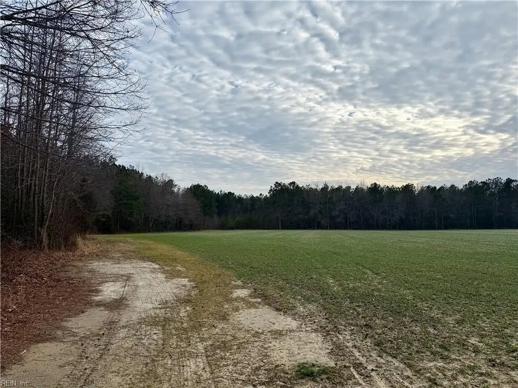 Picture 4