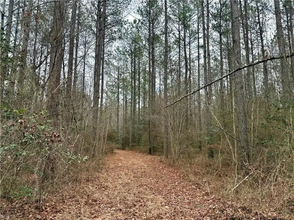 Picture 19