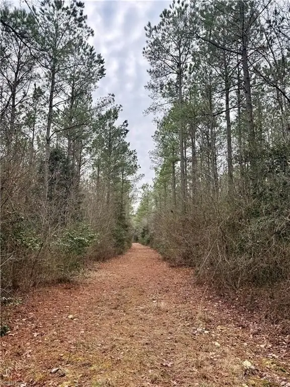 Picture 22