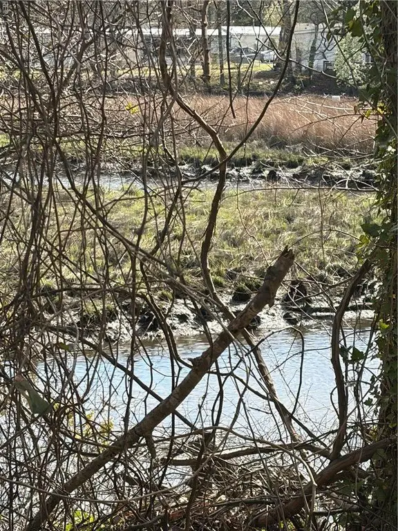 Picture 4